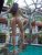 **Massage Feeling**mit Topgirl**Tirol - Bild2